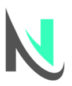 NextLevelWeb Logo